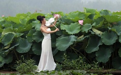 丁香五六月婷婷